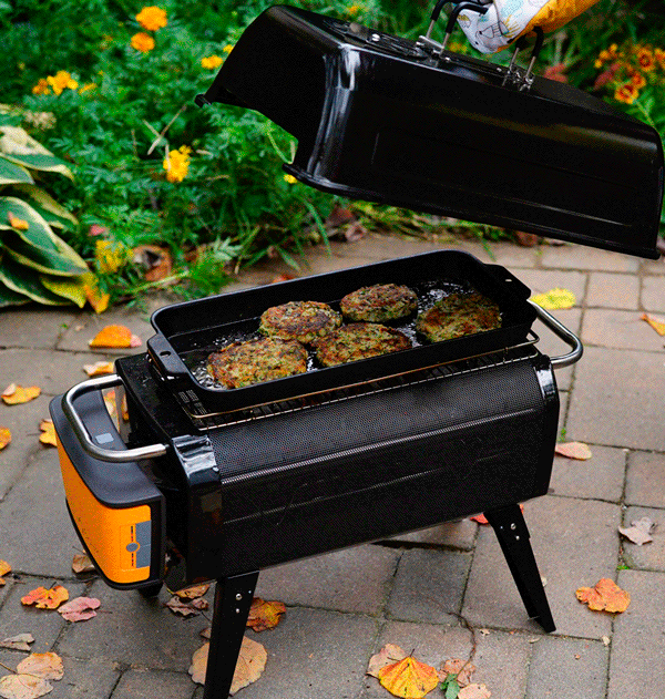 BioLite Fire Pit • In store only.
