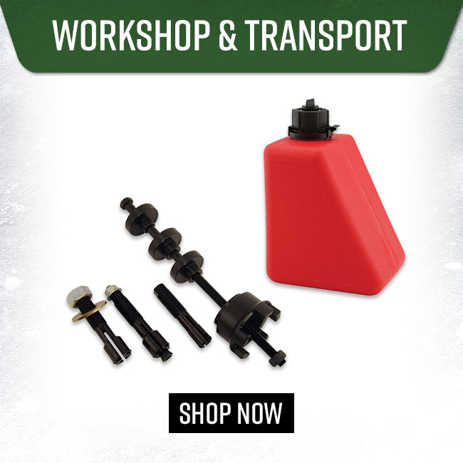 Workshop