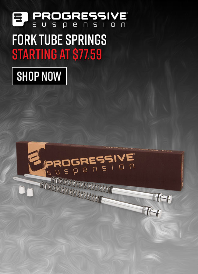 Fork Tube Springs