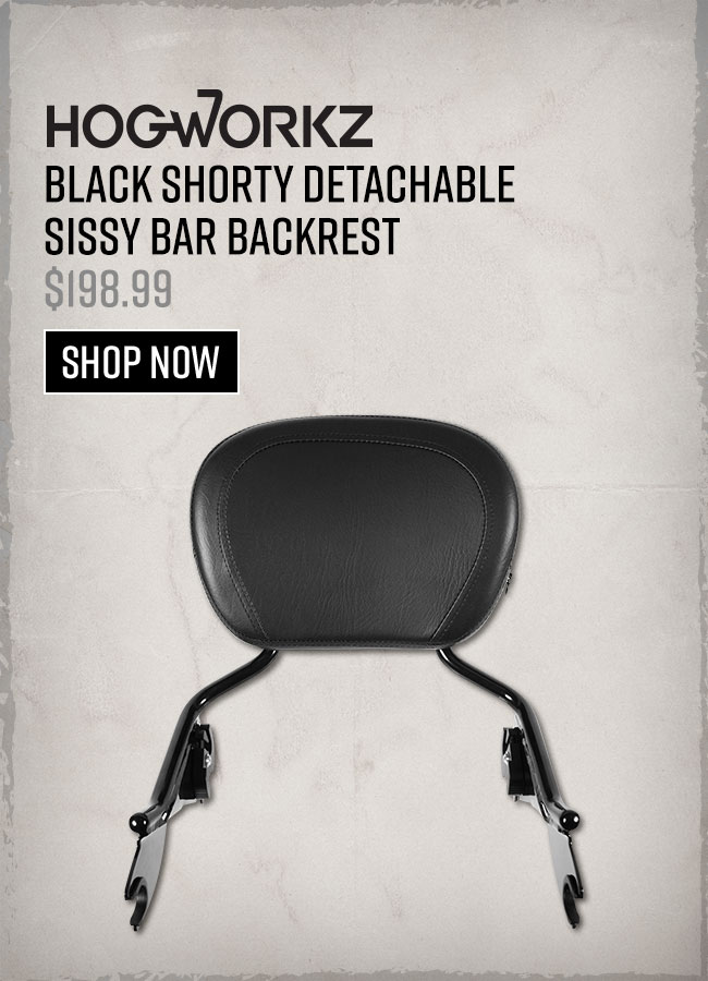 Sissy Bar Backrest