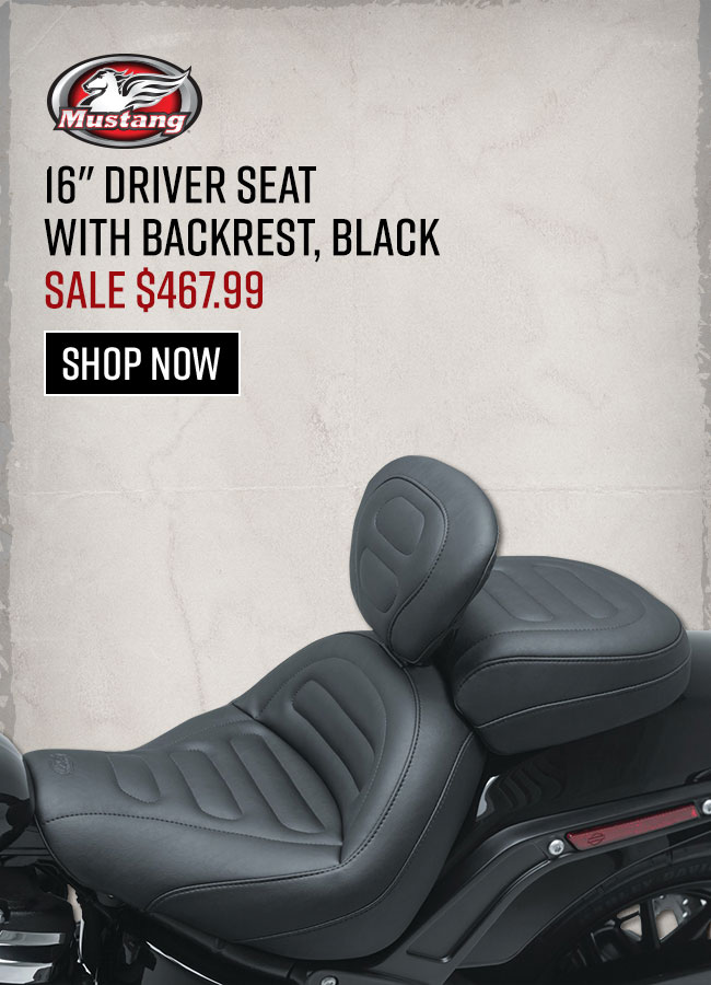 Seat with Backrest