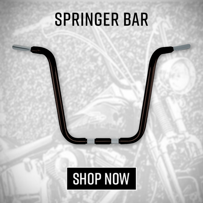 SpringerBar