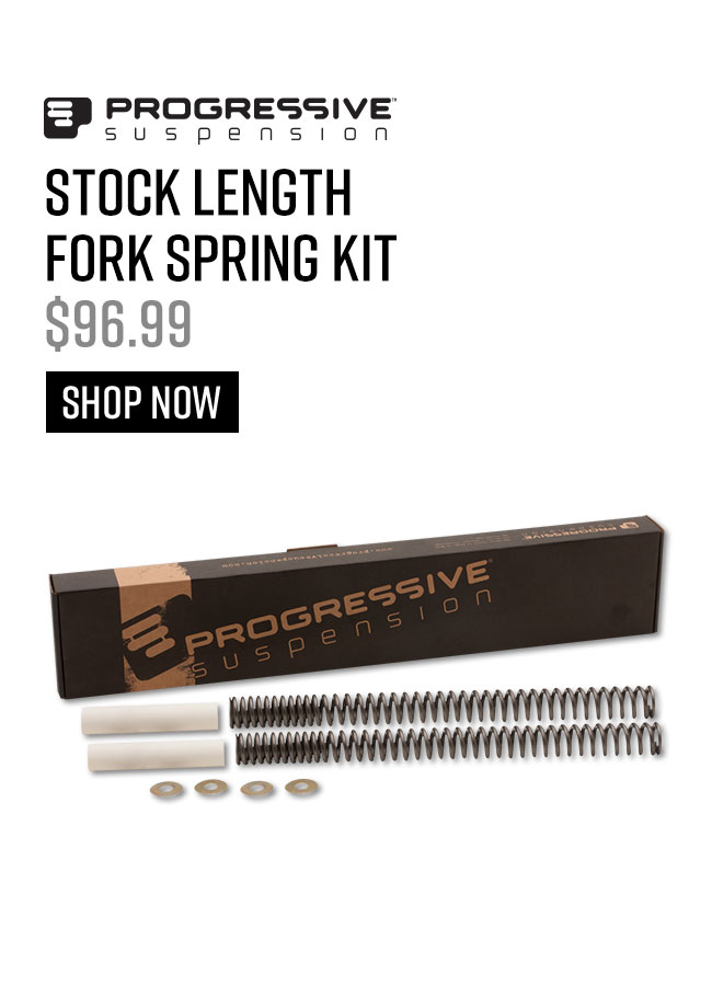 StockLengthForkSpringKit