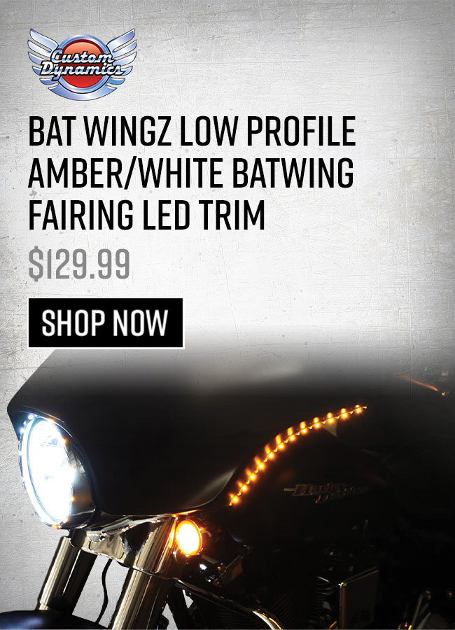 BatWingzFairingLEDTrim