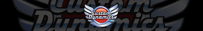 CustomDynamics