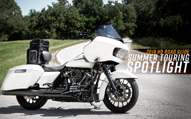 Summer Spotlight