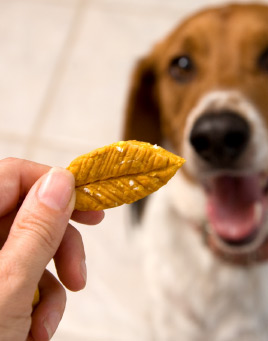 Tail Waggin&rsquo; Treats