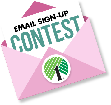 email sign-up contest