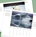 ECO-TIPS MONTHLY CALENDAR