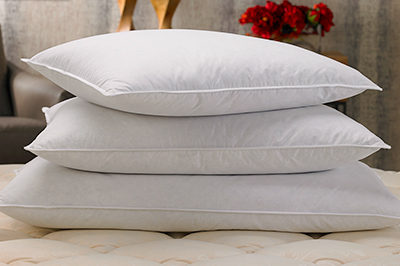Marriott Hotels Pillows