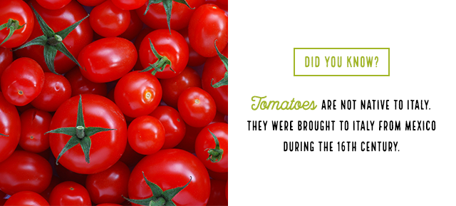 Did you know? Tomatoes are not native to Italy. They were brought to Italy from Mexico during the 16th century.