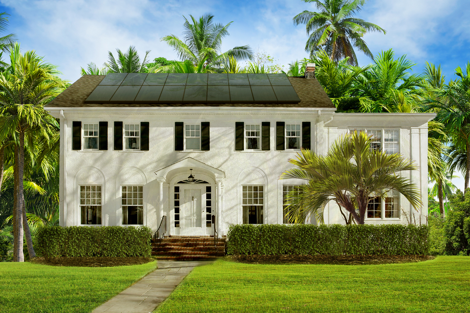 Bright and Affordable Options.