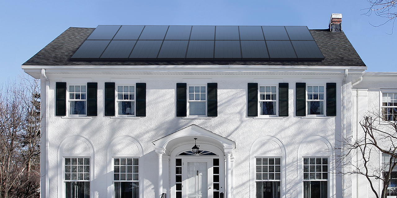 Bright and Affordable Options.