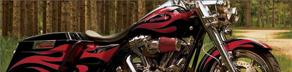 Harley-Davidson® motorcycle