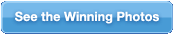See the Winning Photos