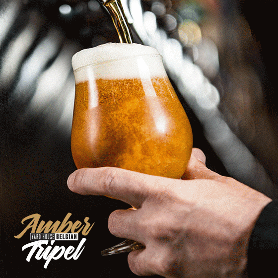 House Belgian Amber Tripel