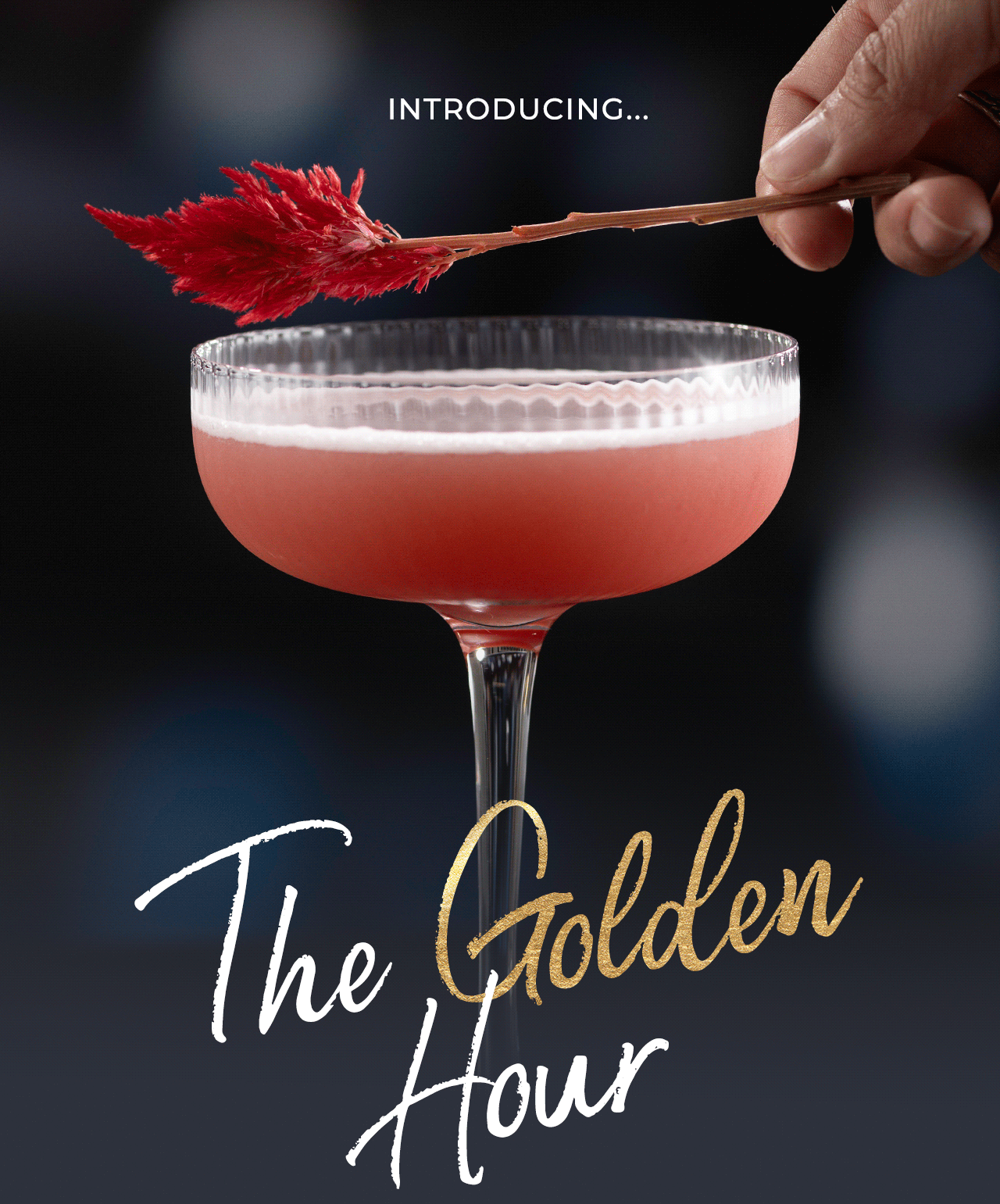 Introducing: The Golden Hour