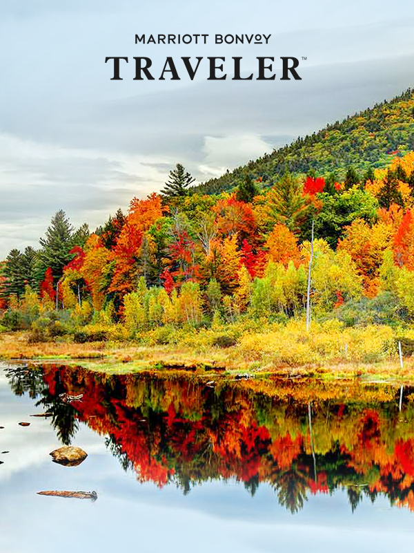A stunning display of fall foliage near a lake.