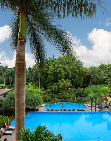 Property image from Costa Rica Marriott Hotel Hacienda Belen