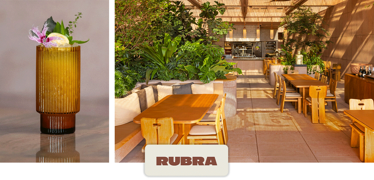 Animation of dining room and plated dishes from Rubra at W Punta de Mita.