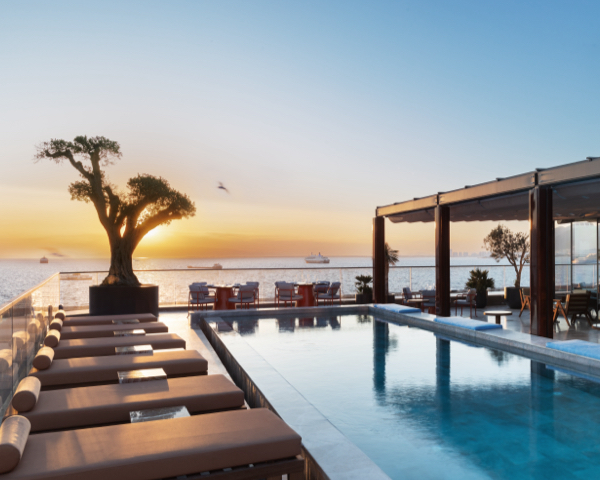 Modern pool and deck overlooking the sea with a sculptural tree at dusk.