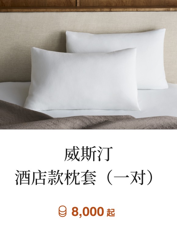 威斯汀酒店款枕套（一对