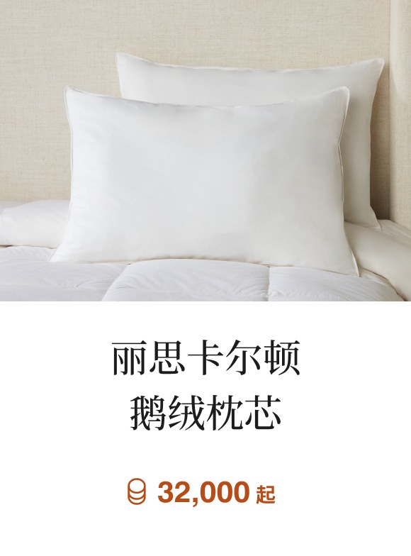 丽思卡尔顿鹅绒枕芯