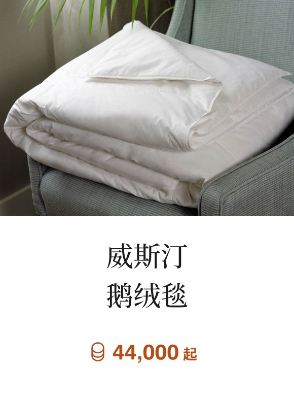 威斯汀鹅绒毯