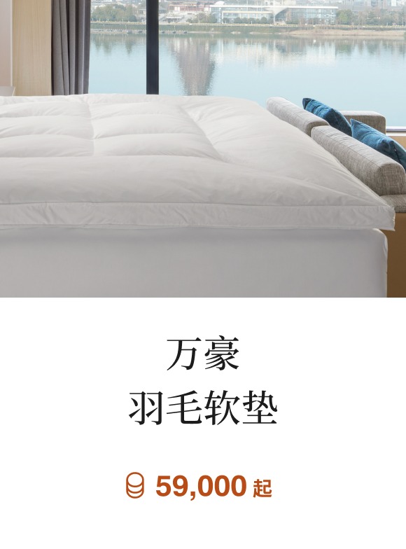 万豪羽毛软垫