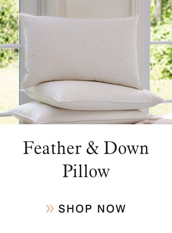 Feather & Down Pillow