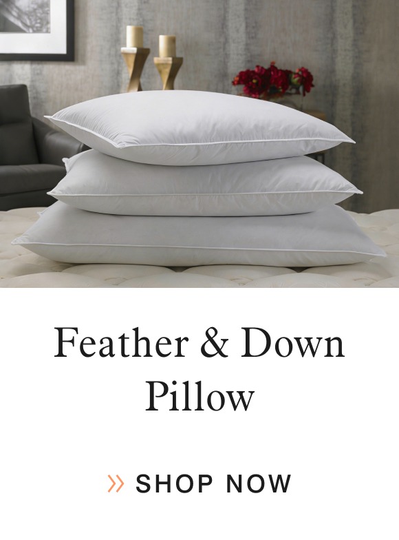 Feather & Down Pillow