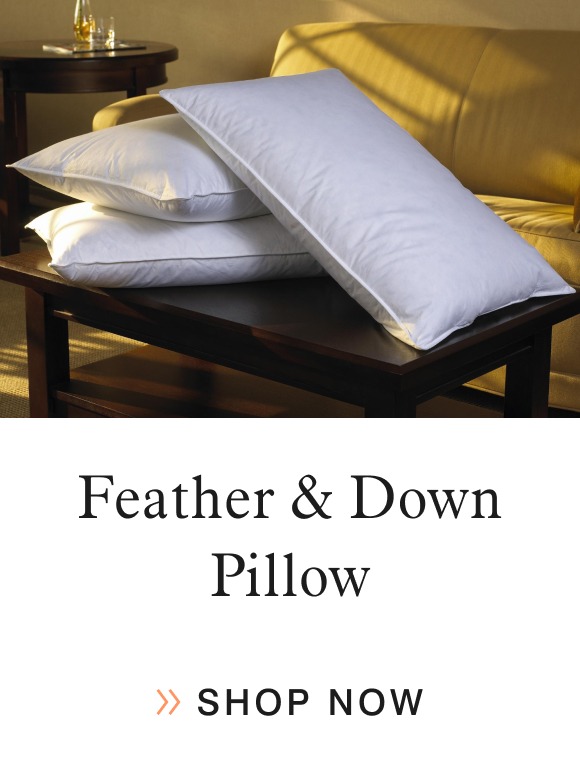 Feather & Down Pillow