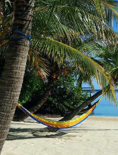 Hammock hanging from palm trees on a beach