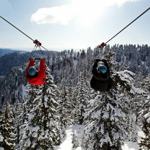 A couple ziplining over snow-covered trees