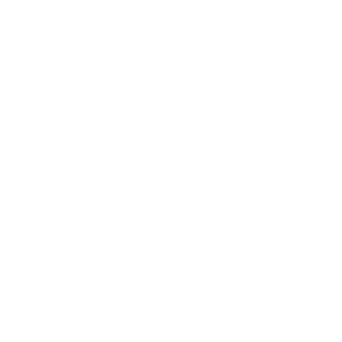Animated gif of a suitcase icon.