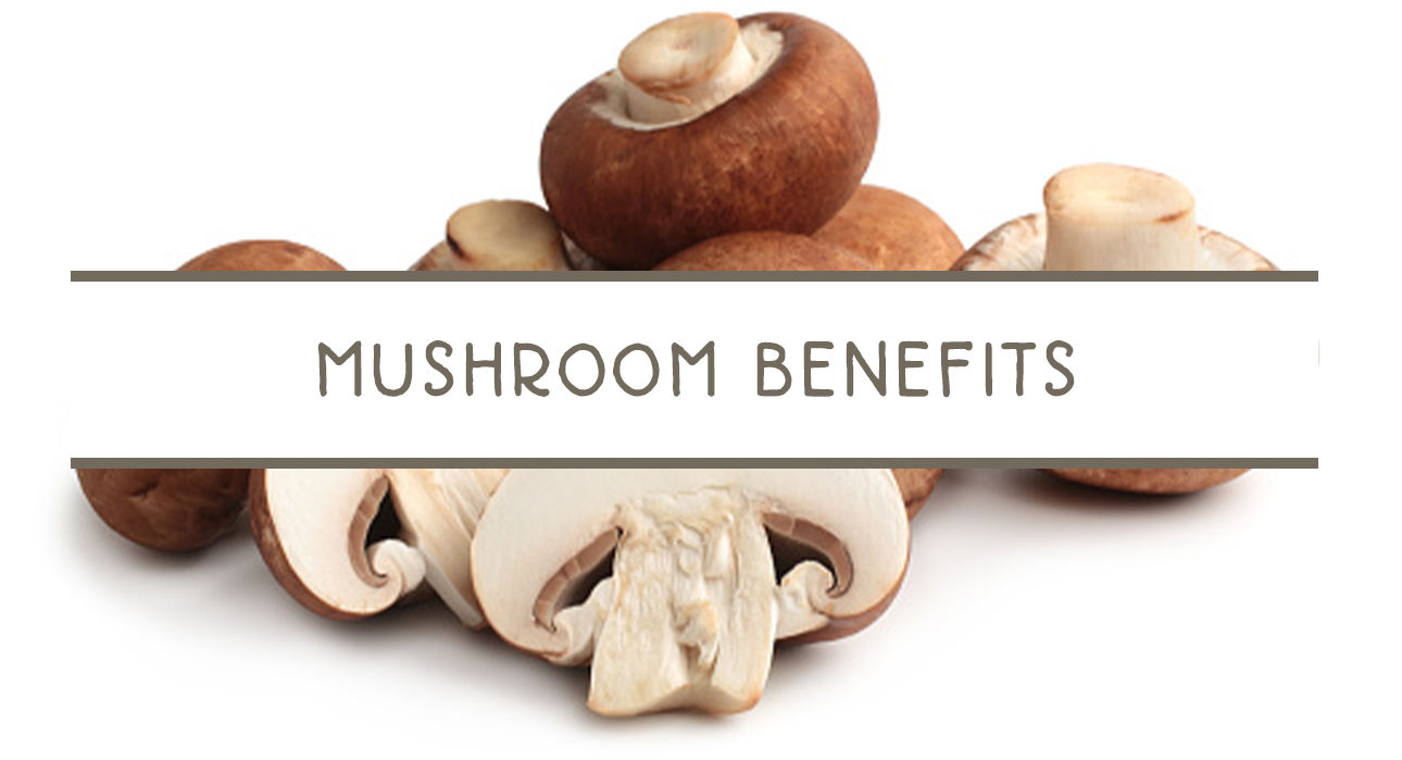 Mushroom Benefits
