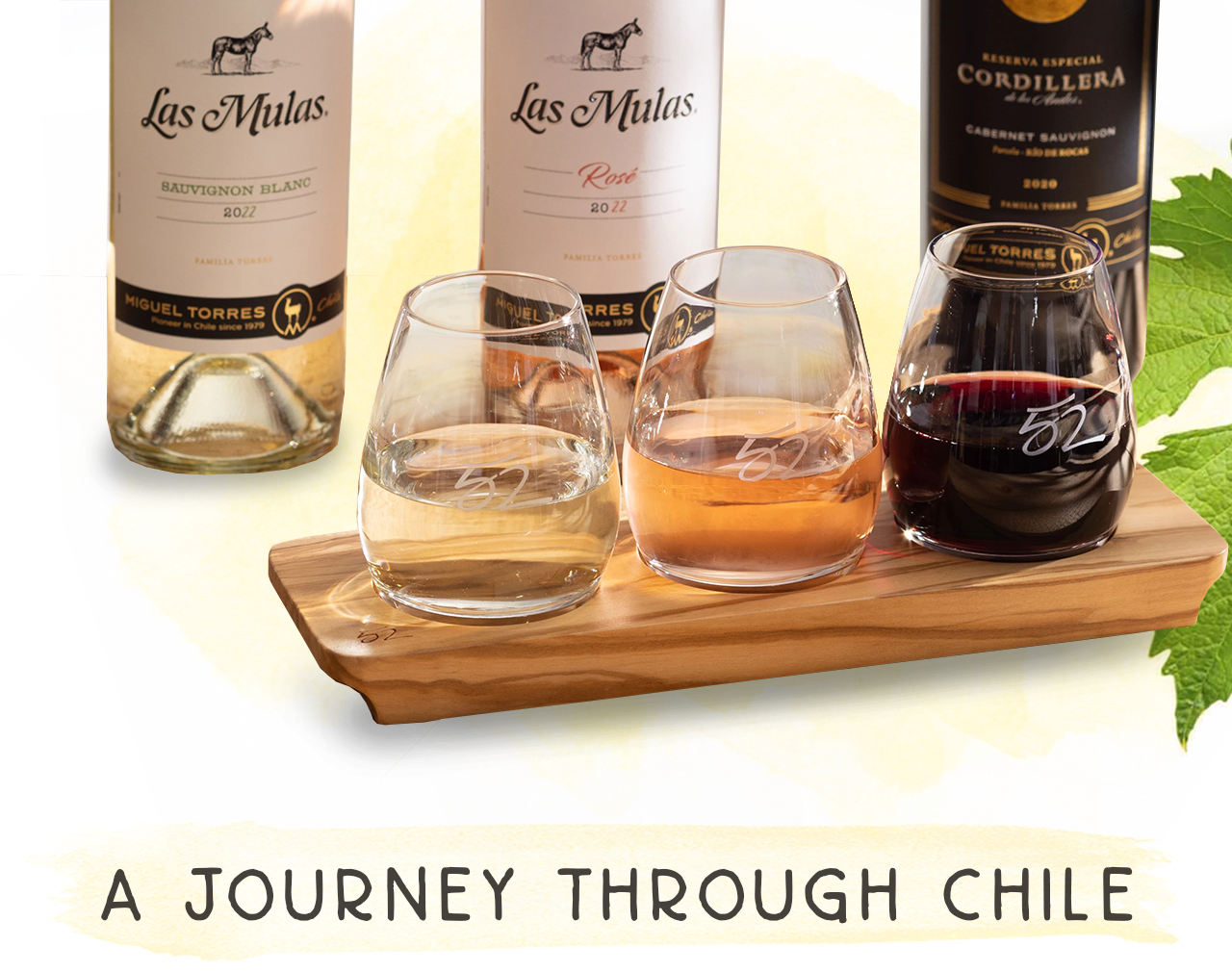 A Journey Through Chile