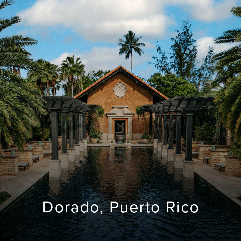 Serene tropical courtyard with a reflecting pool leading to a terracotta temple, framed by stone columns, palms, lush greenery, and blue sky.