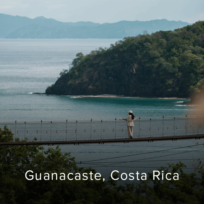 Person pauses on a suspension bridge above turquoise water, facing a lush forested island and misty mountains.